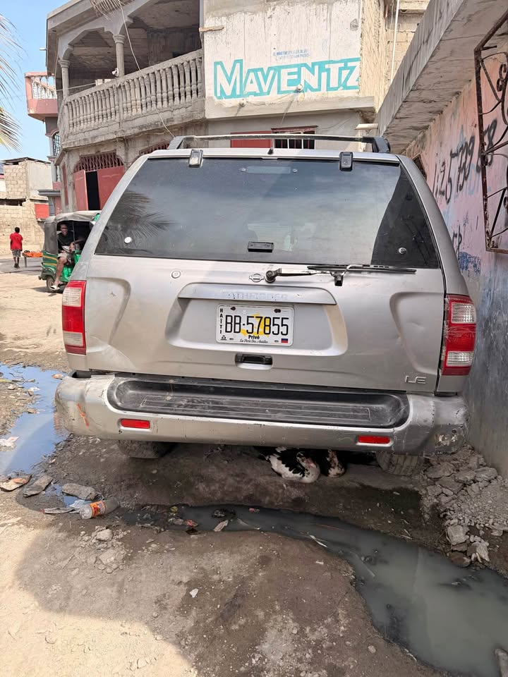 Nissan Pathfinder d’occasion — gris