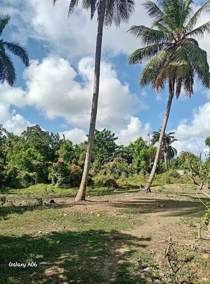 Terrain de 1 seizième à vendre — Grandier 2, Aquin